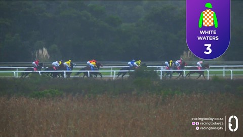 Fairview SA 01 Jul 2026 Race 8