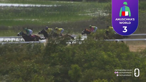 Fairview SA 02 Oct 2026 Race 7