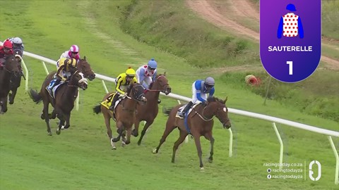Hollywoodbets Durbanville SA 17 Oct 2026 Race 2
